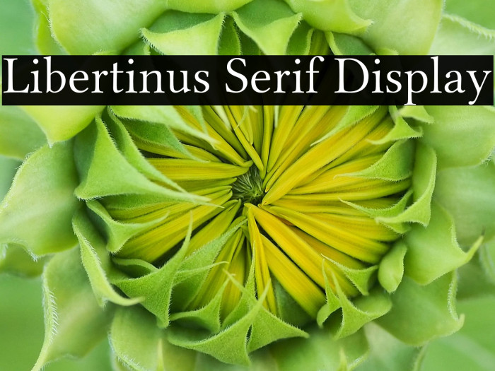 Libertinus Serif Display Example 1