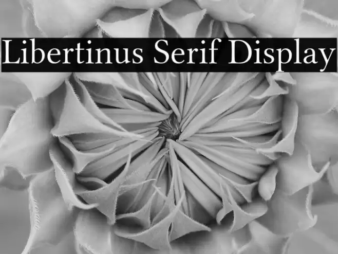 Libertinus Serif Display Font examples