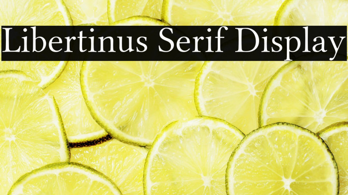 Libertinus Serif Display Example 2