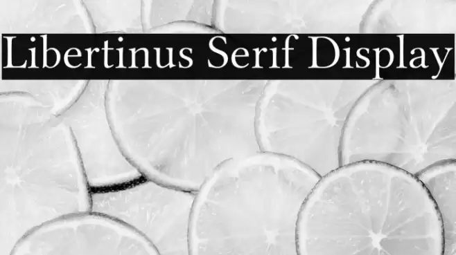 Libertinus Serif Display Font examples