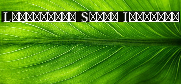 Libertinus Serif Initials Example 1