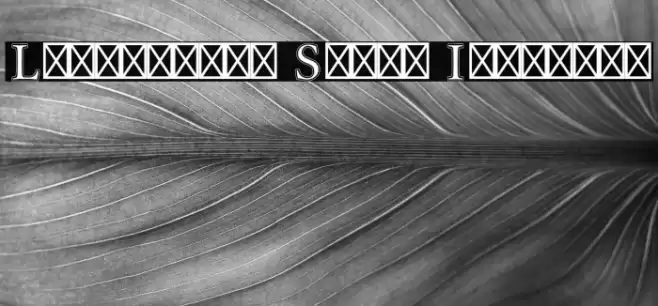 Libertinus Serif Initials Font examples