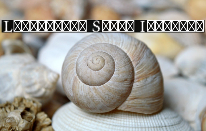 Libertinus Serif Initials Example 2