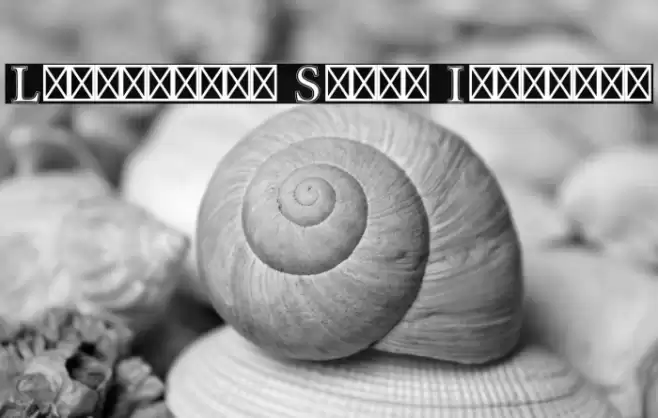 Libertinus Serif Initials Font examples