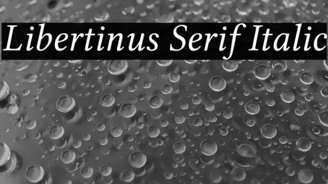 Libertinus Serif Italic Font examples