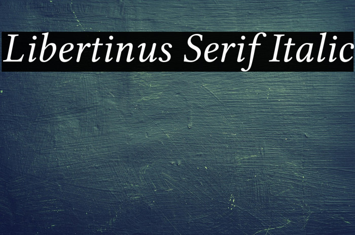 Libertinus Serif Italic Example 2