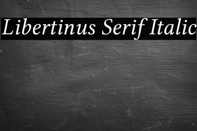 Libertinus Serif Italic Font examples