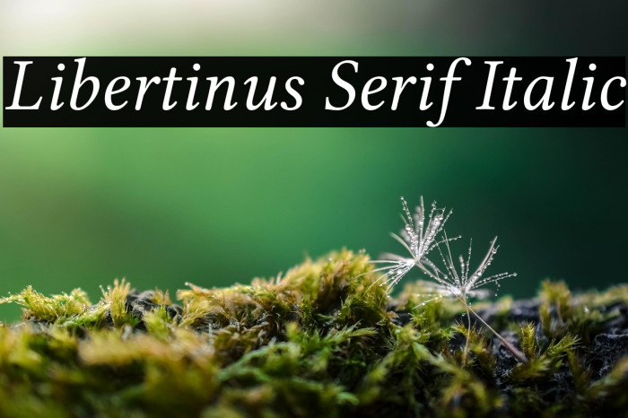 Libertinus Serif Italic Example 3