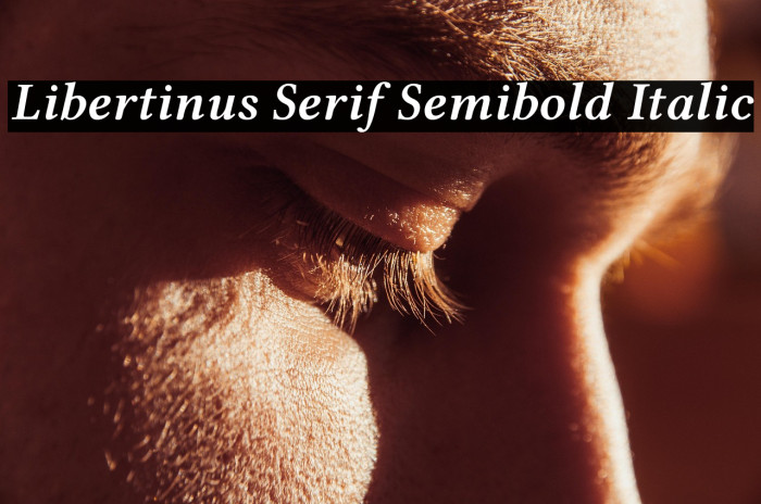 Libertinus Serif Semibold Italic Example 2