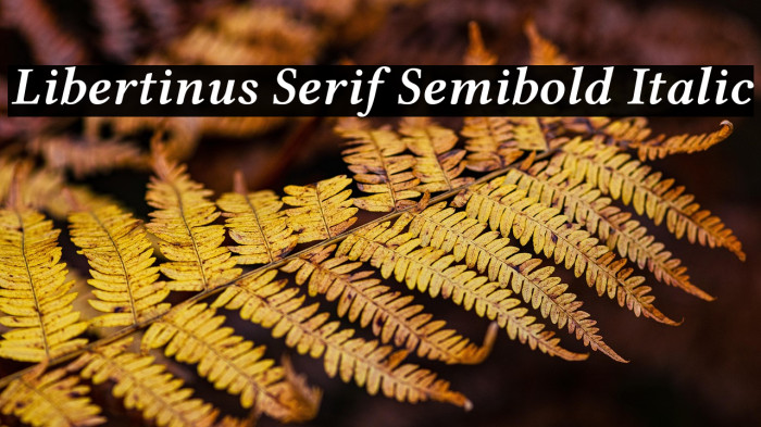 Libertinus Serif Semibold Italic Example 3
