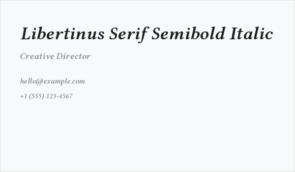 Libertinus Serif Semibold Italic Business Card