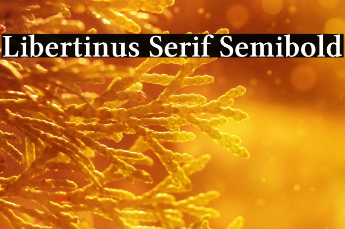 Libertinus Serif Semibold Example 1
