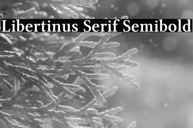 Libertinus Serif Semibold Font | Free Download (TTF/OTF) | FFonts.net