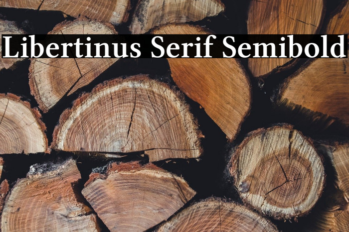 Libertinus Serif Semibold Example 2