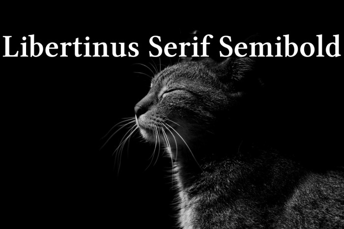 Libertinus Serif Semibold Example 3