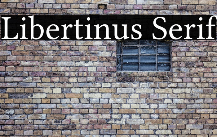 Libertinus Serif Example 1