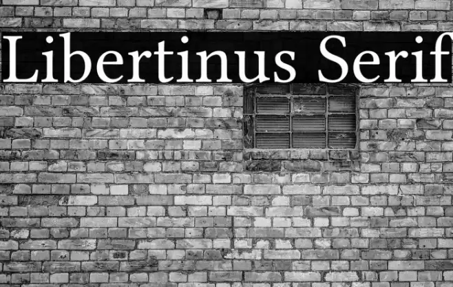 Libertinus Serif Font examples