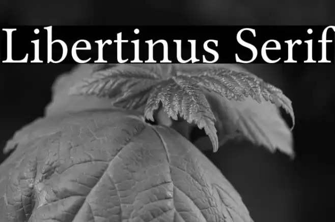 Libertinus Serif Font examples