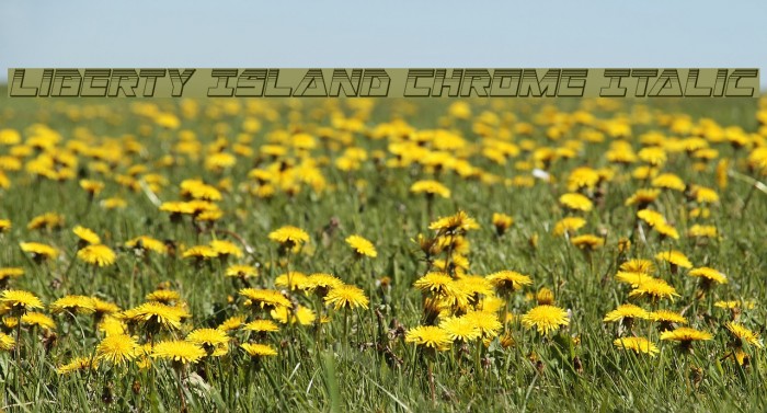 Liberty Island Chrome Italic Example 1