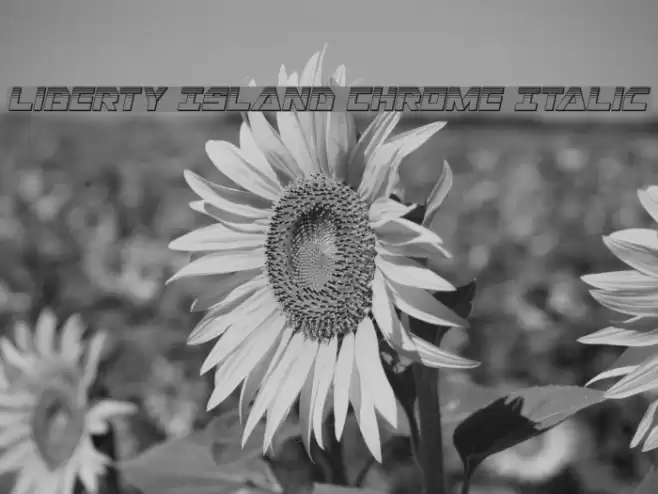 Liberty Island Chrome Italic Font examples