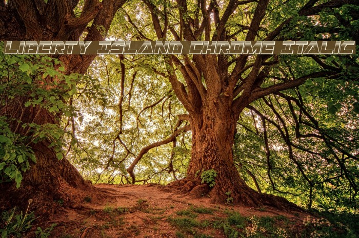 Liberty Island Chrome Italic Example 3