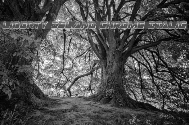 Liberty Island Chrome Italic Font examples