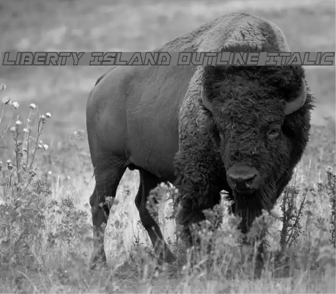 Liberty Island Outline Italic Font examples