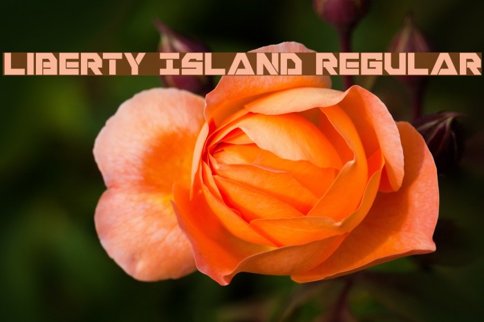 Liberty Island Regular Font examples