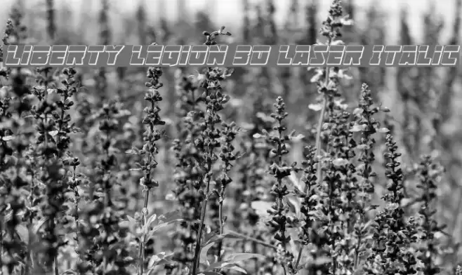 Liberty Legion 3D Laser Italic Font examples