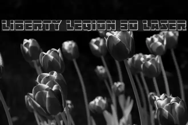 Liberty Legion 3D Laser Font examples