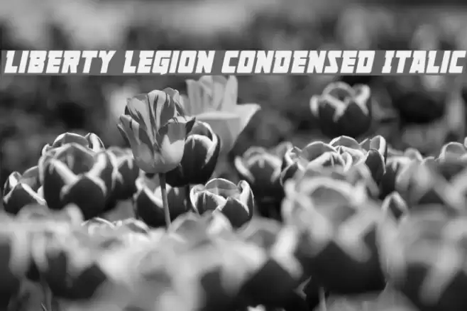Liberty Legion Condensed Italic Font examples