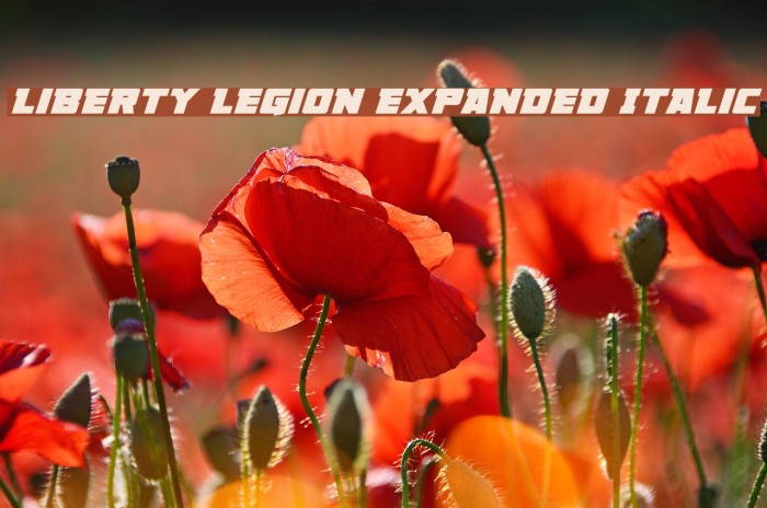 Liberty Legion Expanded Italic Font examples