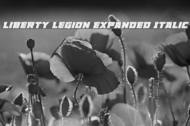 Liberty Legion Expanded Italic Example 1