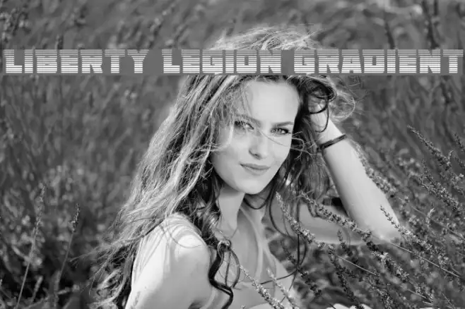 Liberty Legion Gradient Example 2