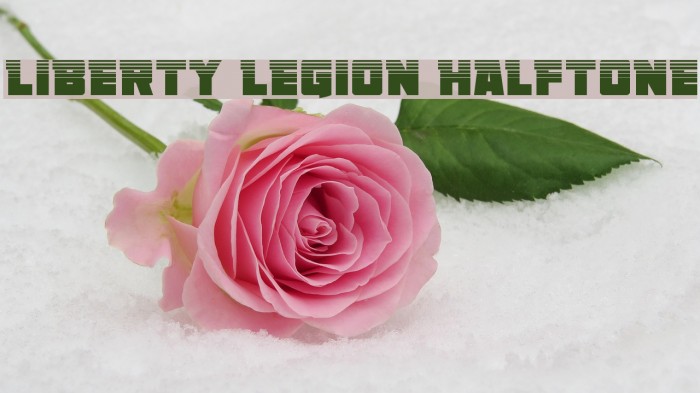 Liberty Legion Halftone Example 1