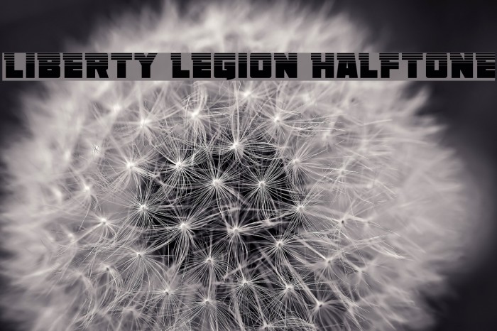 Liberty Legion Halftone Example 2