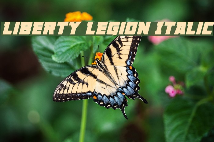 Liberty Legion Italic Example 1