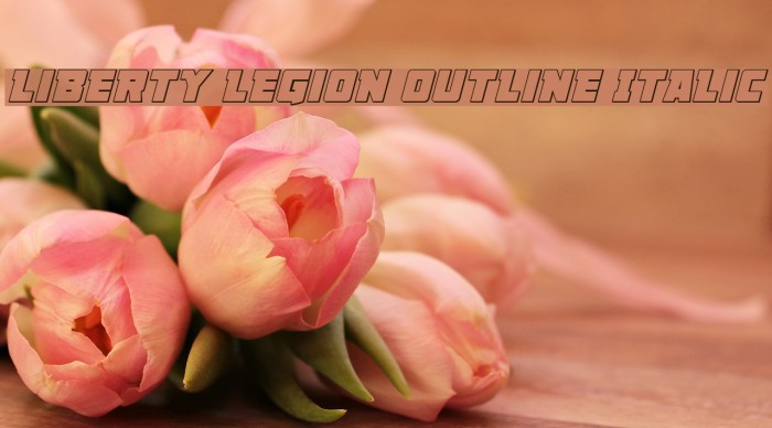 Liberty Legion Outline Italic Font examples