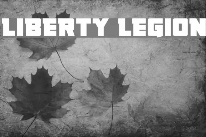 Liberty Legion Example 2