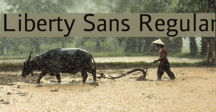 Liberty Sans Regular Font examples