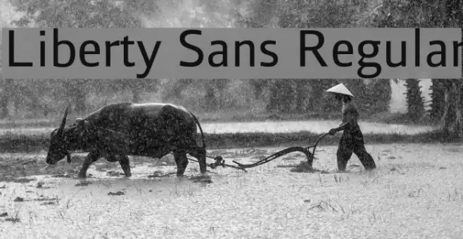 Liberty Sans Regular Font examples