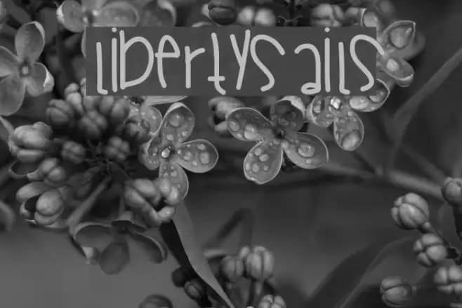 LibertySails Font examples