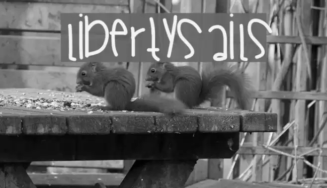 LibertySails Font examples