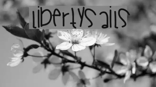 LibertySails Font examples