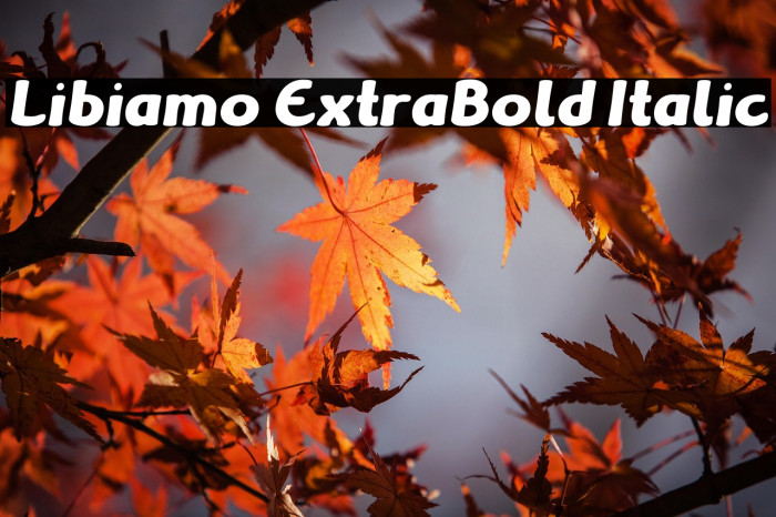 Libiamo ExtraBold Italic Example 1