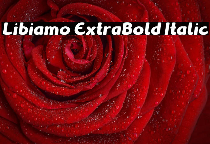 Libiamo ExtraBold Italic Example 3