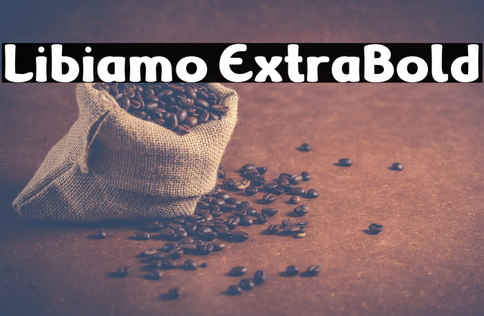 Libiamo ExtraBold Example 1