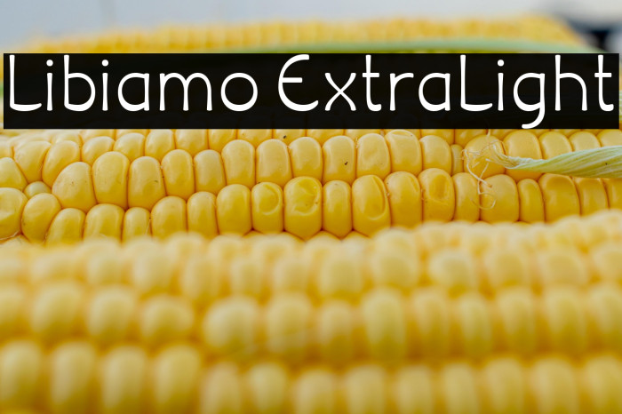 Libiamo ExtraLight Example 3