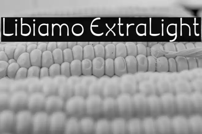 Libiamo ExtraLight Font examples