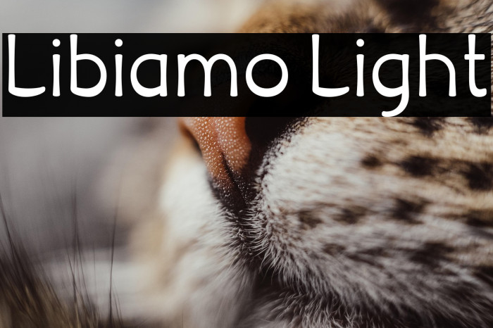 Libiamo Light Example 1